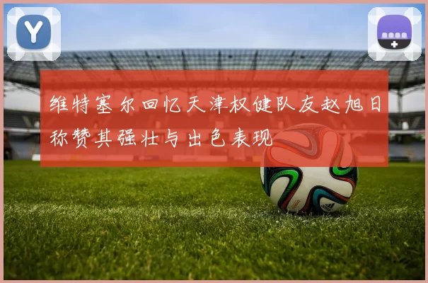 维特塞尔回忆天津权健队友赵旭日称赞其强壮与出色表现