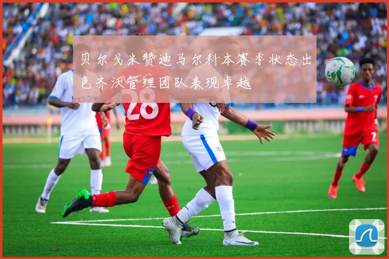 贝尔戈米赞迪马尔科本赛季状态出色齐沃管理团队表现卓越